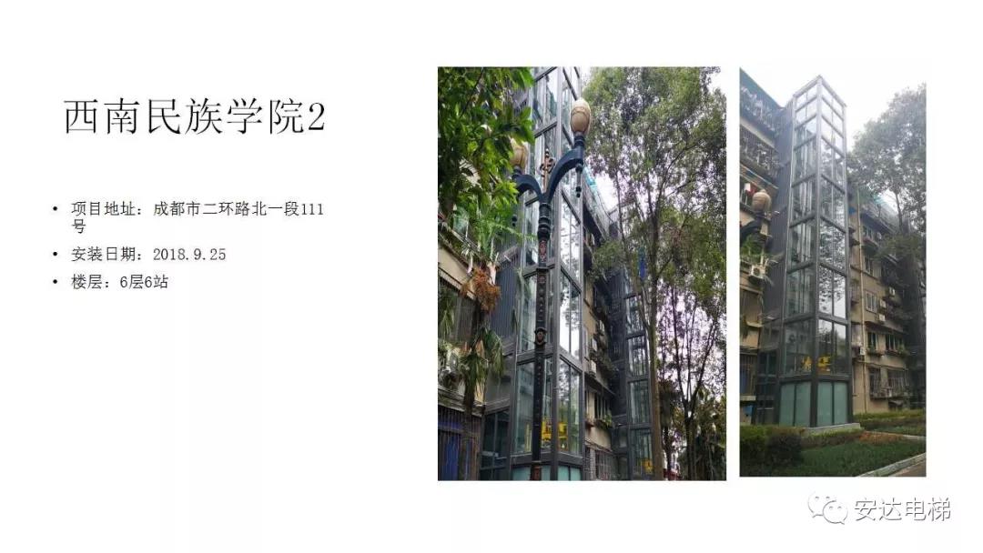 性一交一乱一美A片69XX