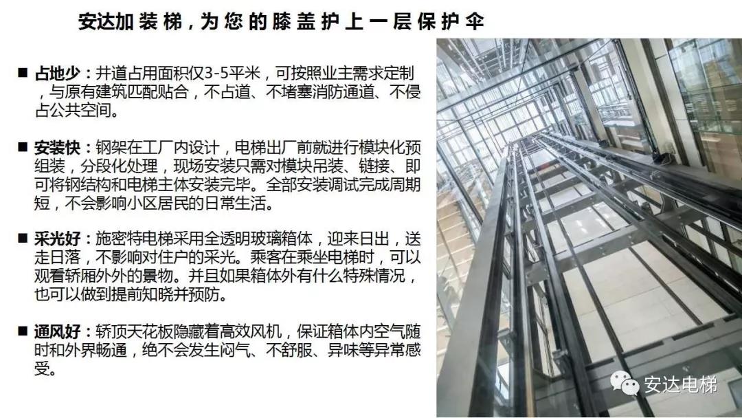 性一交一乱一美A片69XX